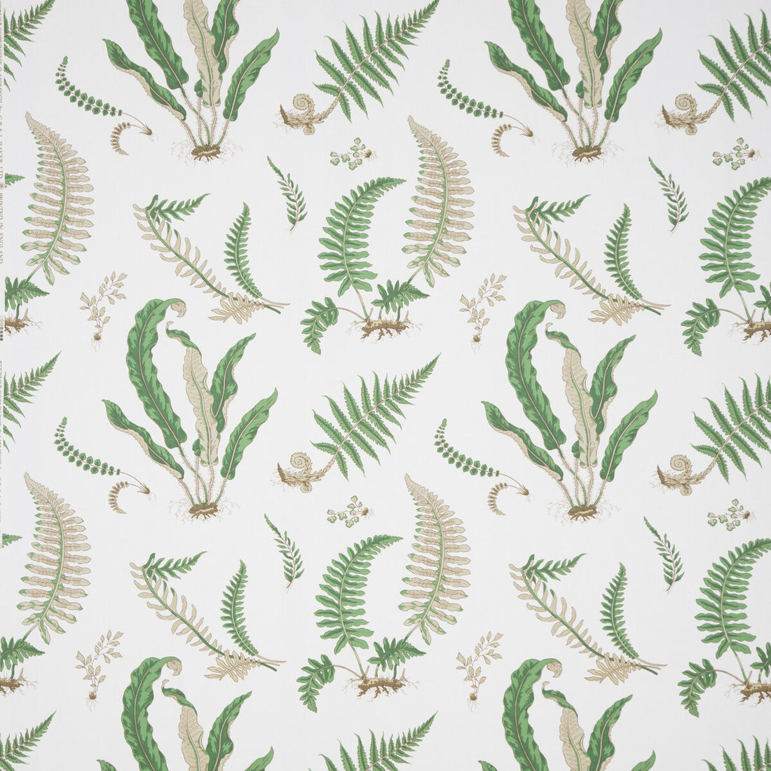 31032 fabric in 1 color - pattern 031032.01.0 - by Lee Jofa in the Perennia collection