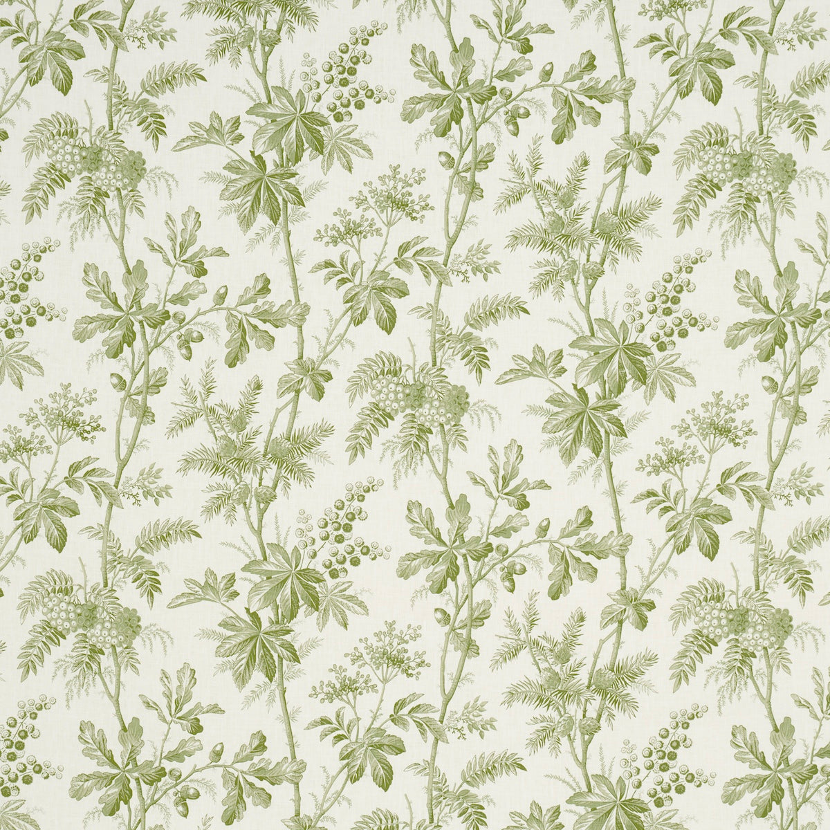 Brantwood Vine fabric in leaf color - pattern number 174114 - by Schumacher in the A Country Life collection
