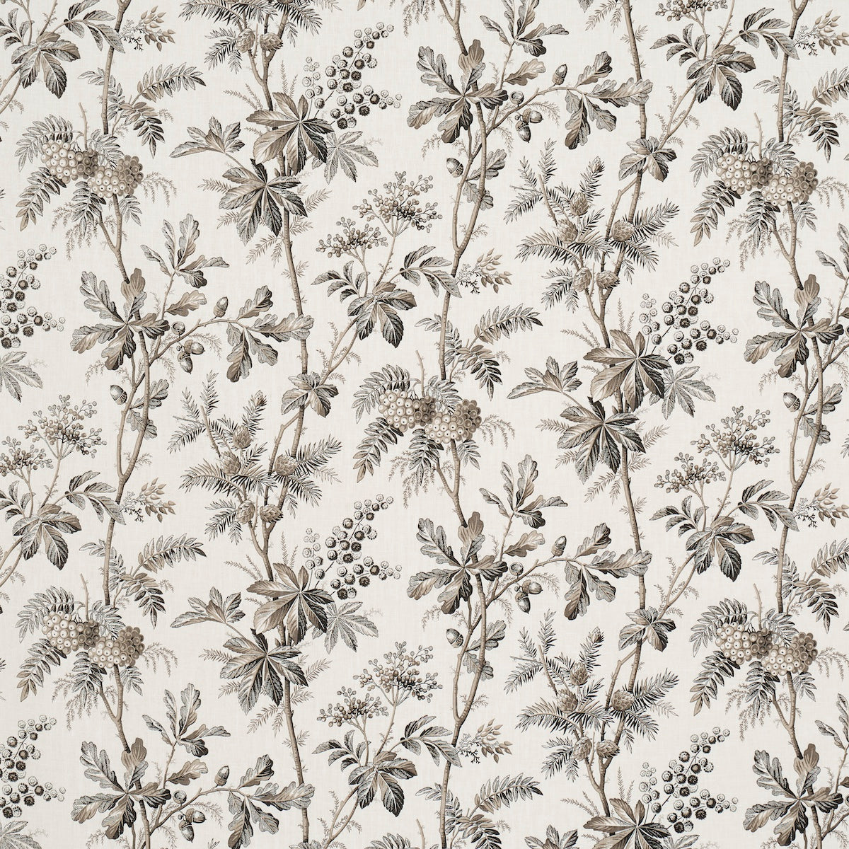 Brantwood Vine fabric in graphite color - pattern number 174115 - by Schumacher in the A Country Life collection