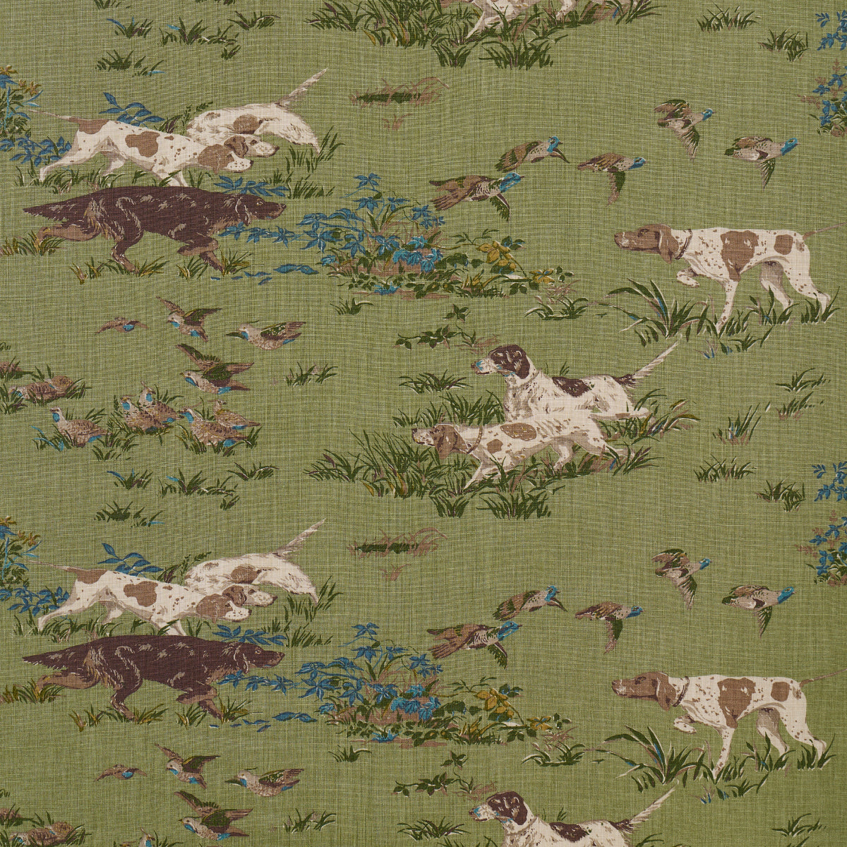 Pointers fabric in meadow color - pattern number 175164 - by Schumacher in the A Country Life collection