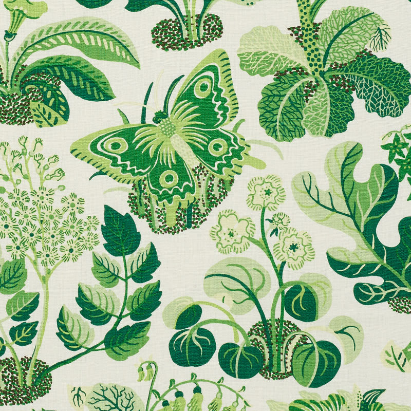 Exotic Butterfly fabric in leaf color - pattern number 176185 - by Schumacher in the Good Vibrations collection
