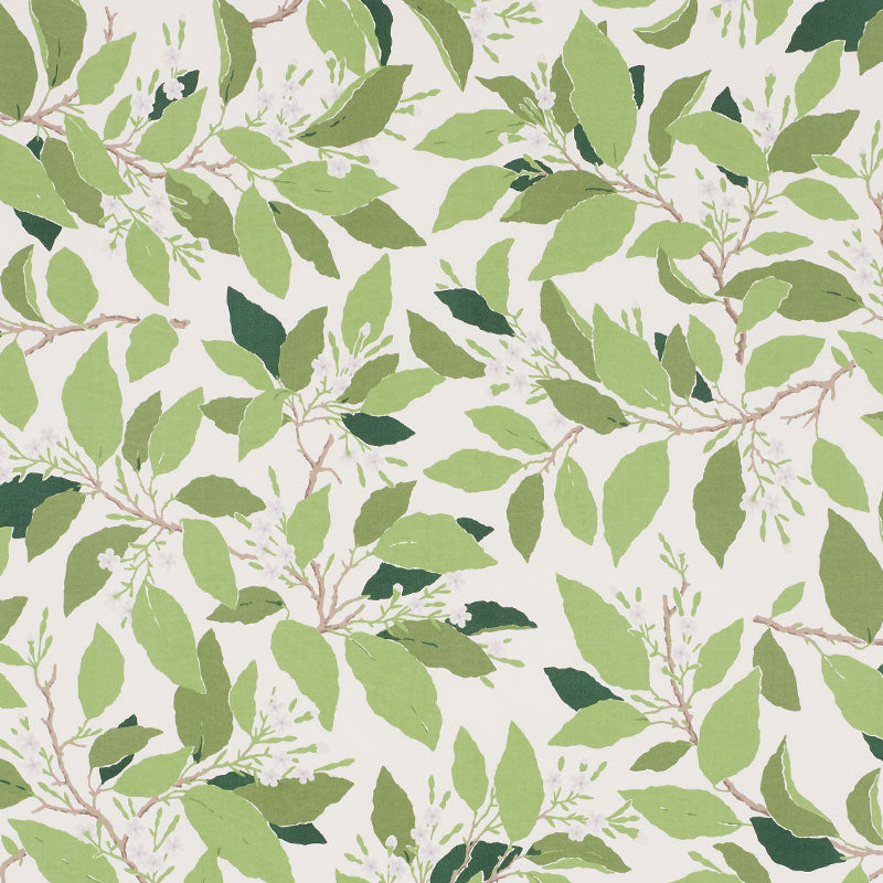Dogwood Leaf fabric in ivory color - pattern number 176520 - by Schumacher in the Miles Redd collection