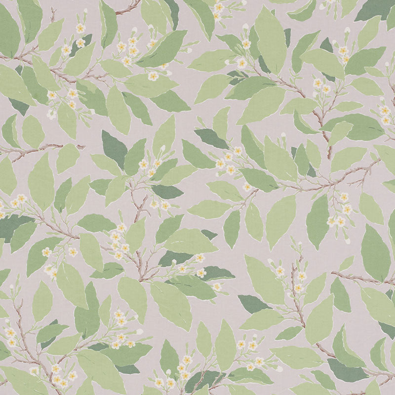 Dogwood Leaf fabric in grisaille color - pattern number 176521 - by Schumacher in the Miles Redd collection