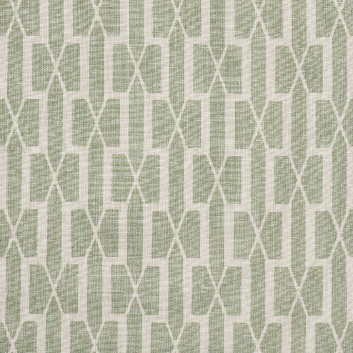 Belvedere fabric in celadon color - pattern number 177192 - by Schumacher in the Veere Grenney collection