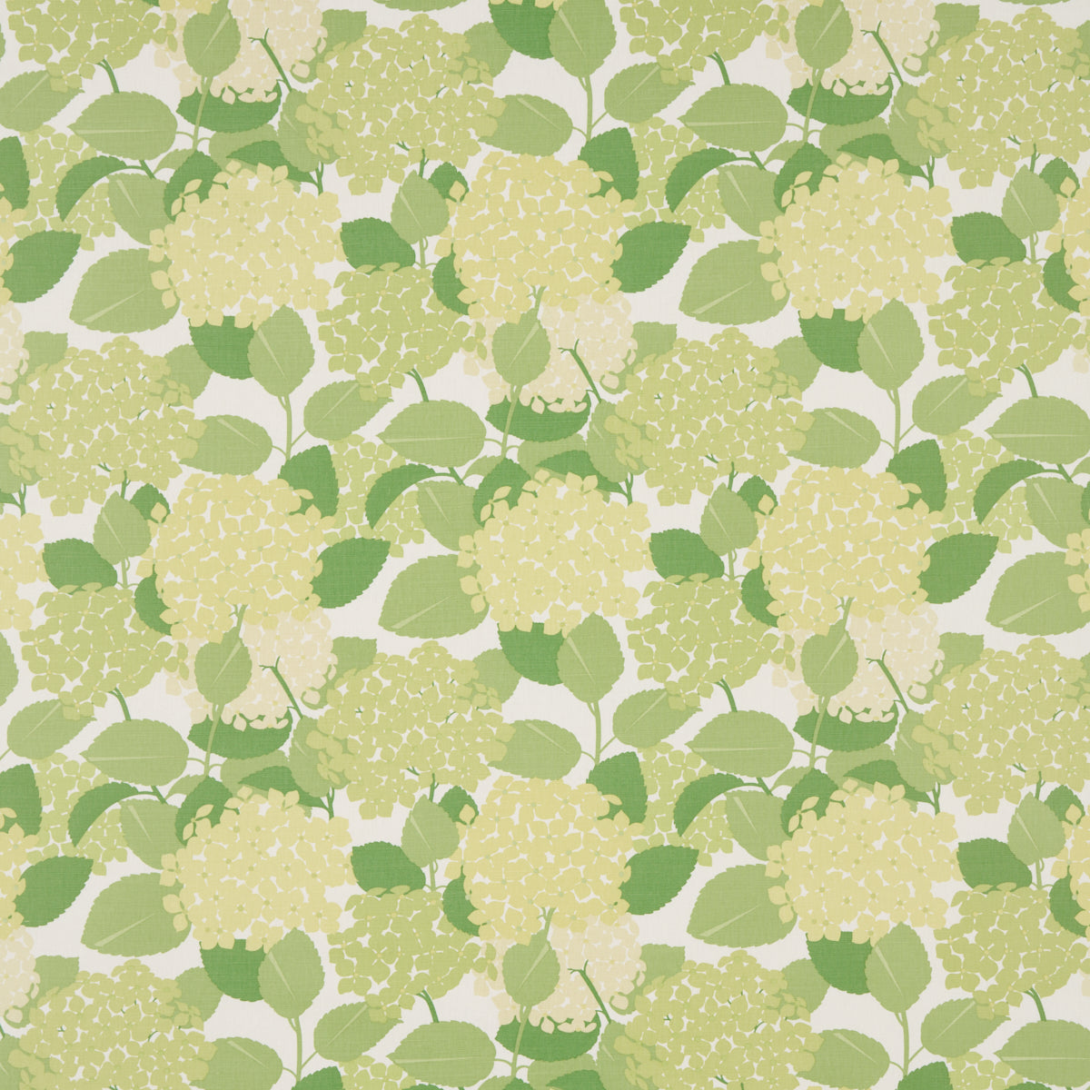 Hydrangea fabric in green color - pattern number 177584 - by Schumacher in the Full Bloom collection