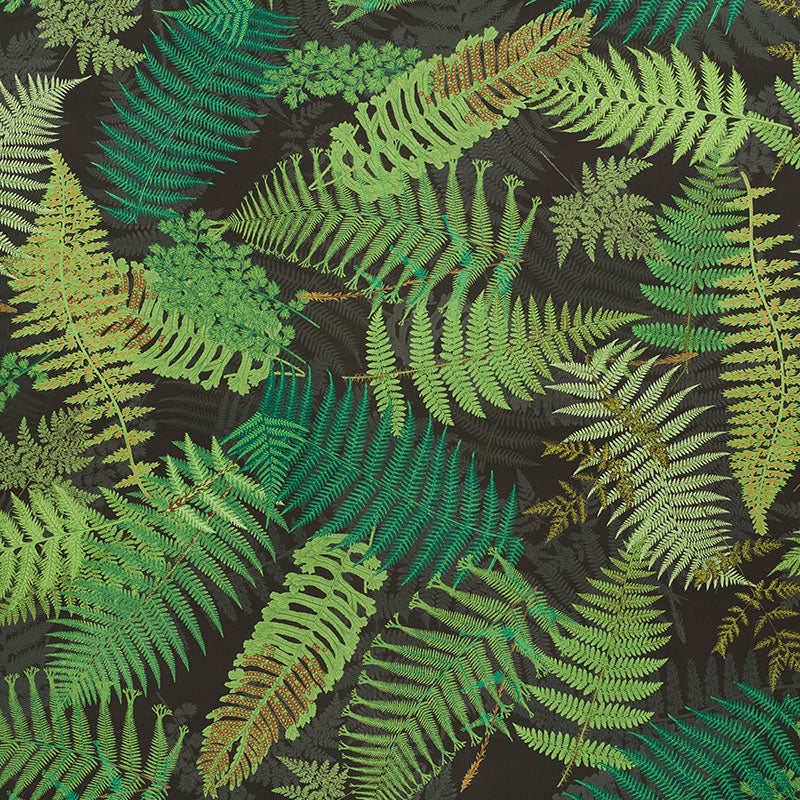 Fernarium fabric in green and black color - pattern number 177591 - by Schumacher in the Clements Ribeiro collection