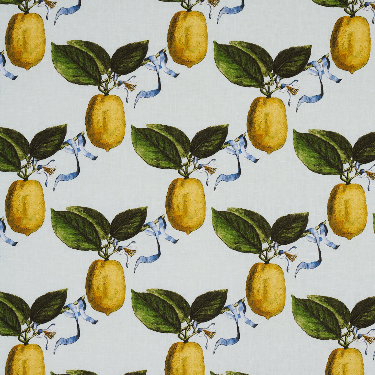Le Citron fabric in sky color - pattern number 180631 - by Schumacher in the Johnson Hartig collection