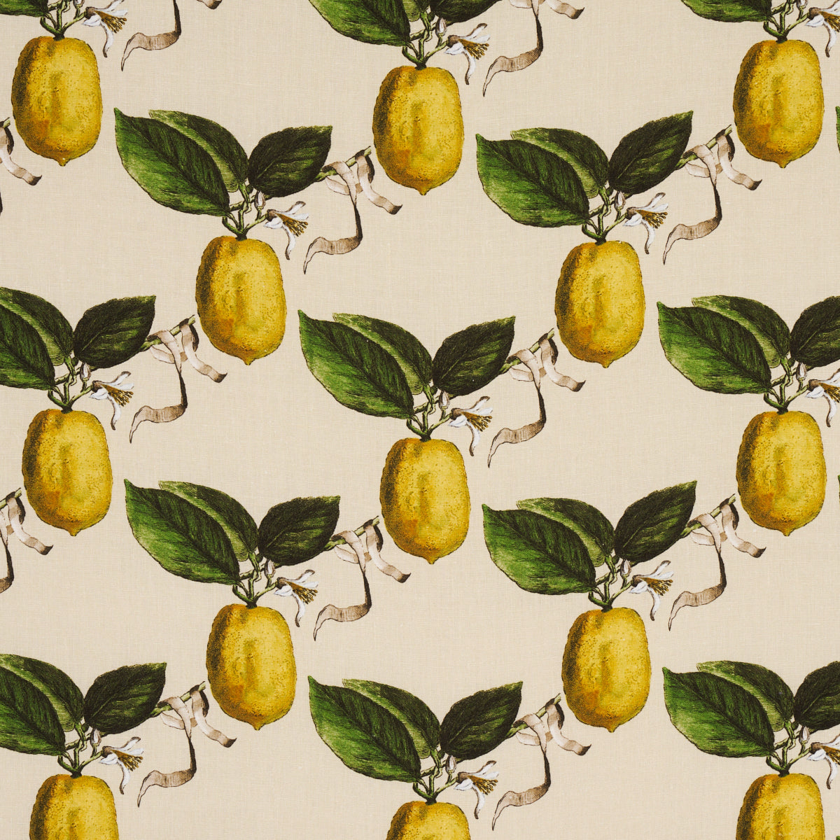 Le Citron fabric in natural color - pattern number 180632 - by Schumacher in the Johnson Hartig collection