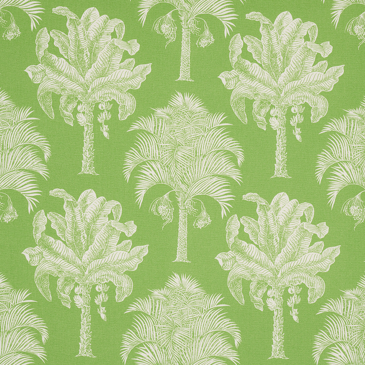 Grand Palms Indoor Outdoor fabric in green color - pattern number 180960 - by Schumacher in the Swing Time Indoor/Outdoor collection