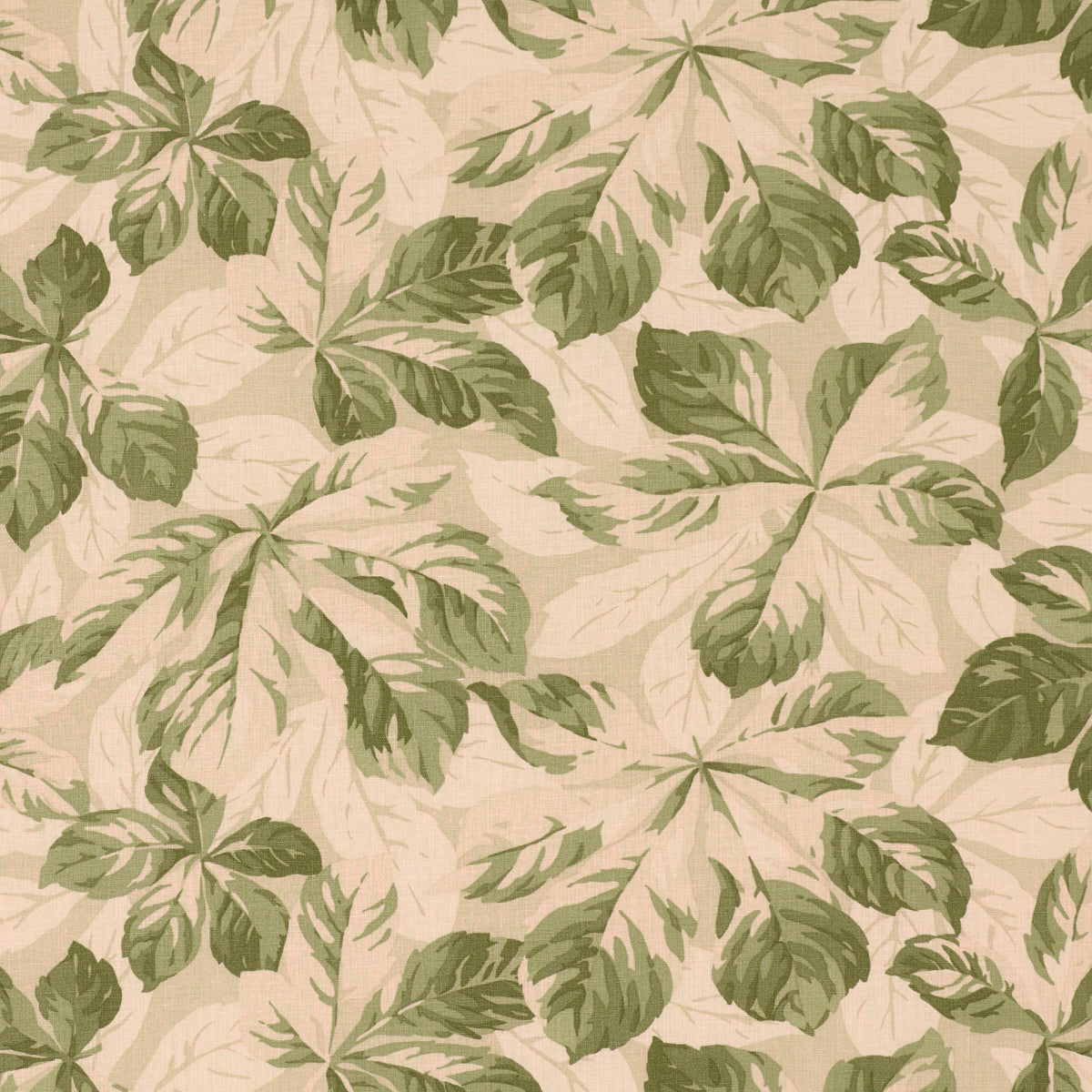 Arboreal fabric in sage color - pattern number 182650 - by Schumacher in the Schumacher Classics collection
