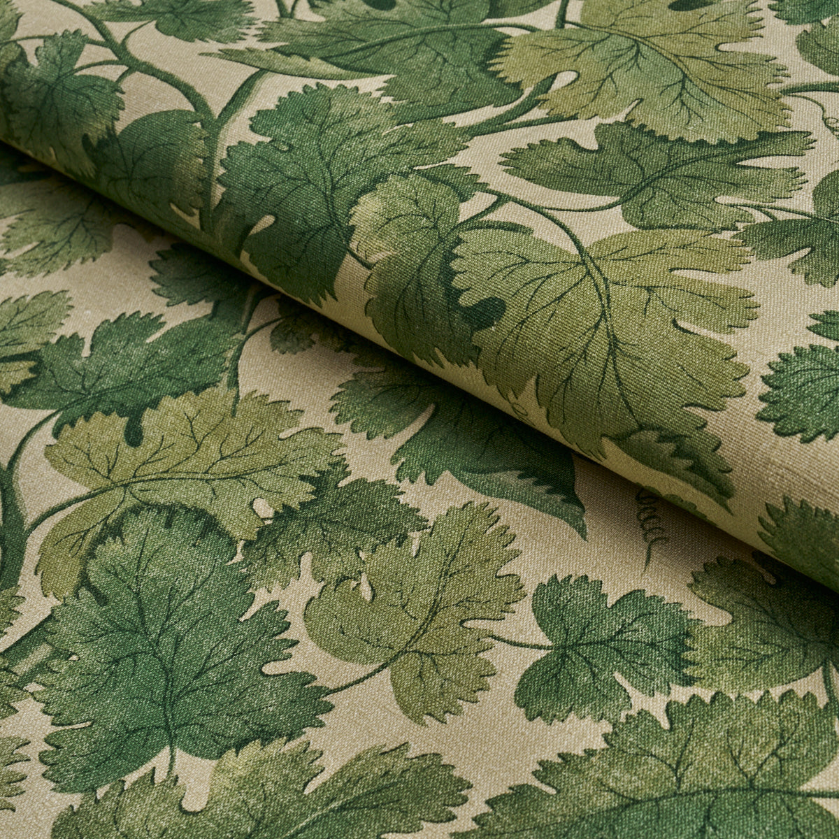 Edinburgh Vine fabric in moss color - pattern number 182790 - by Schumacher in the A Country Life collection
