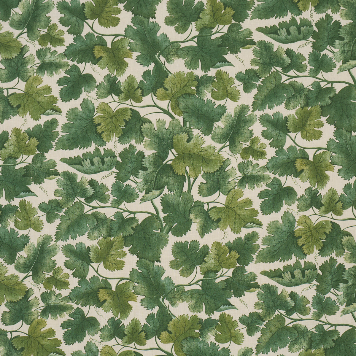 Edinburgh Vine fabric in forest color - pattern number 182791 - by Schumacher in the A Country Life collection