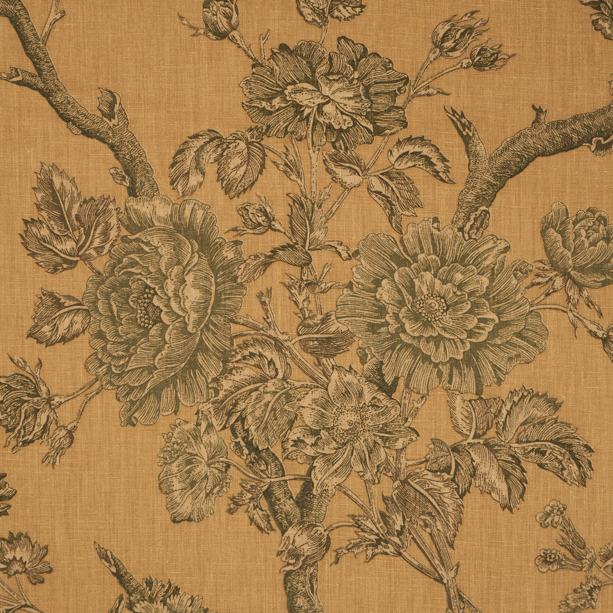 Inverness Garden fabric in document color - pattern number 182830 - by Schumacher in the A Country Life collection