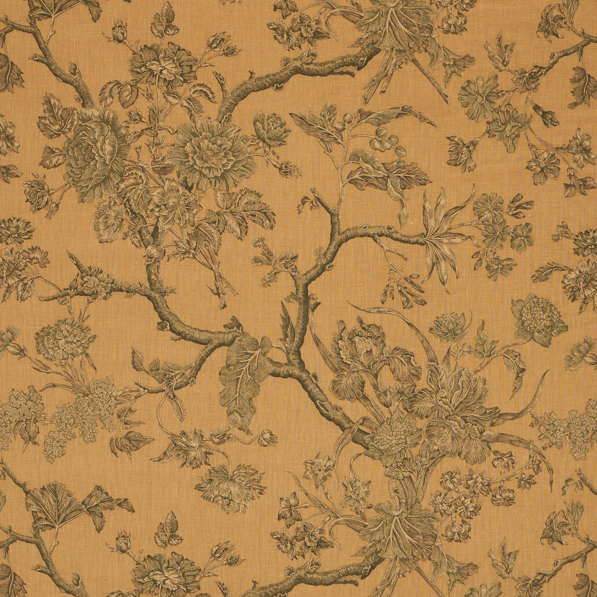 Inverness Garden fabric in document color - pattern number 182830 - by Schumacher in the A Country Life collection