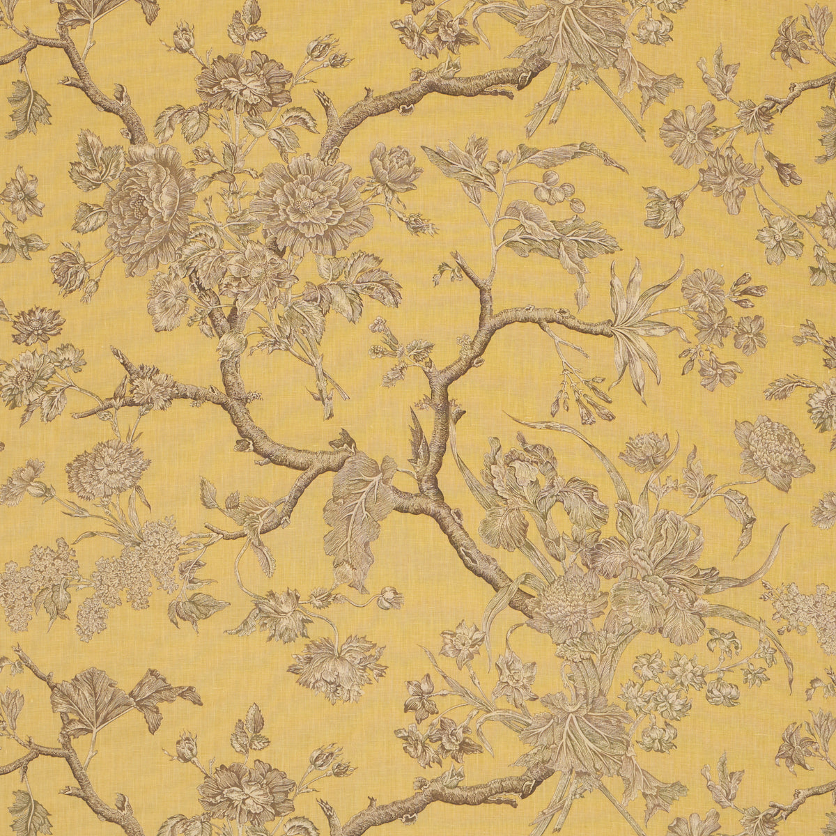 Inverness Garden fabric in buttercup color - pattern number 182831 - by Schumacher in the A Country Life collection