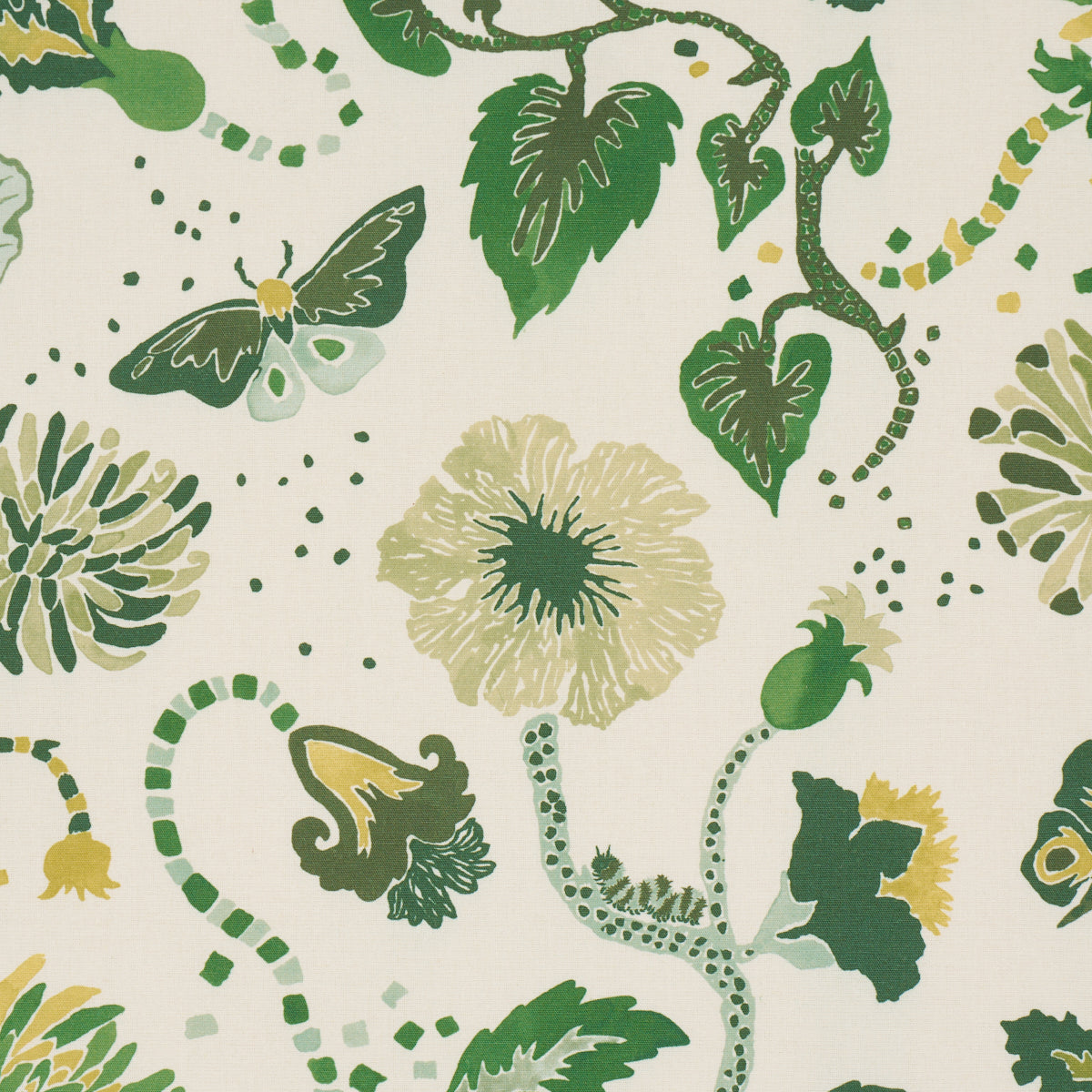 Gloriette fabric in Green color - pattern number 182881 - by Schumacher in the Happy Menocal collection