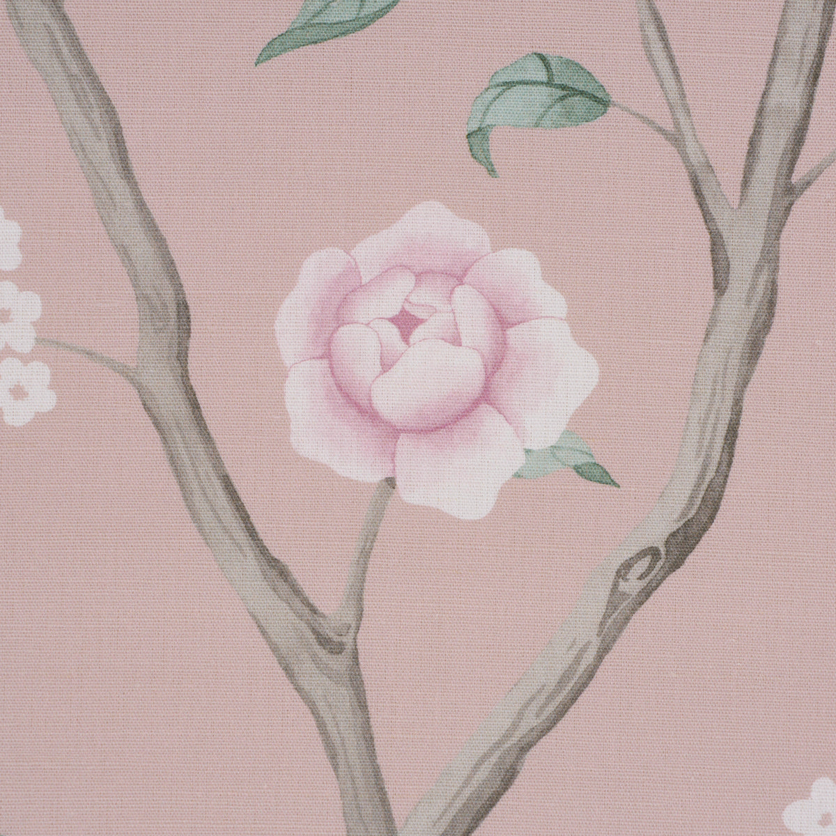 Paradise Birds fabric in blush color - pattern number 183031 - by Schumacher in the Borastapeter collection