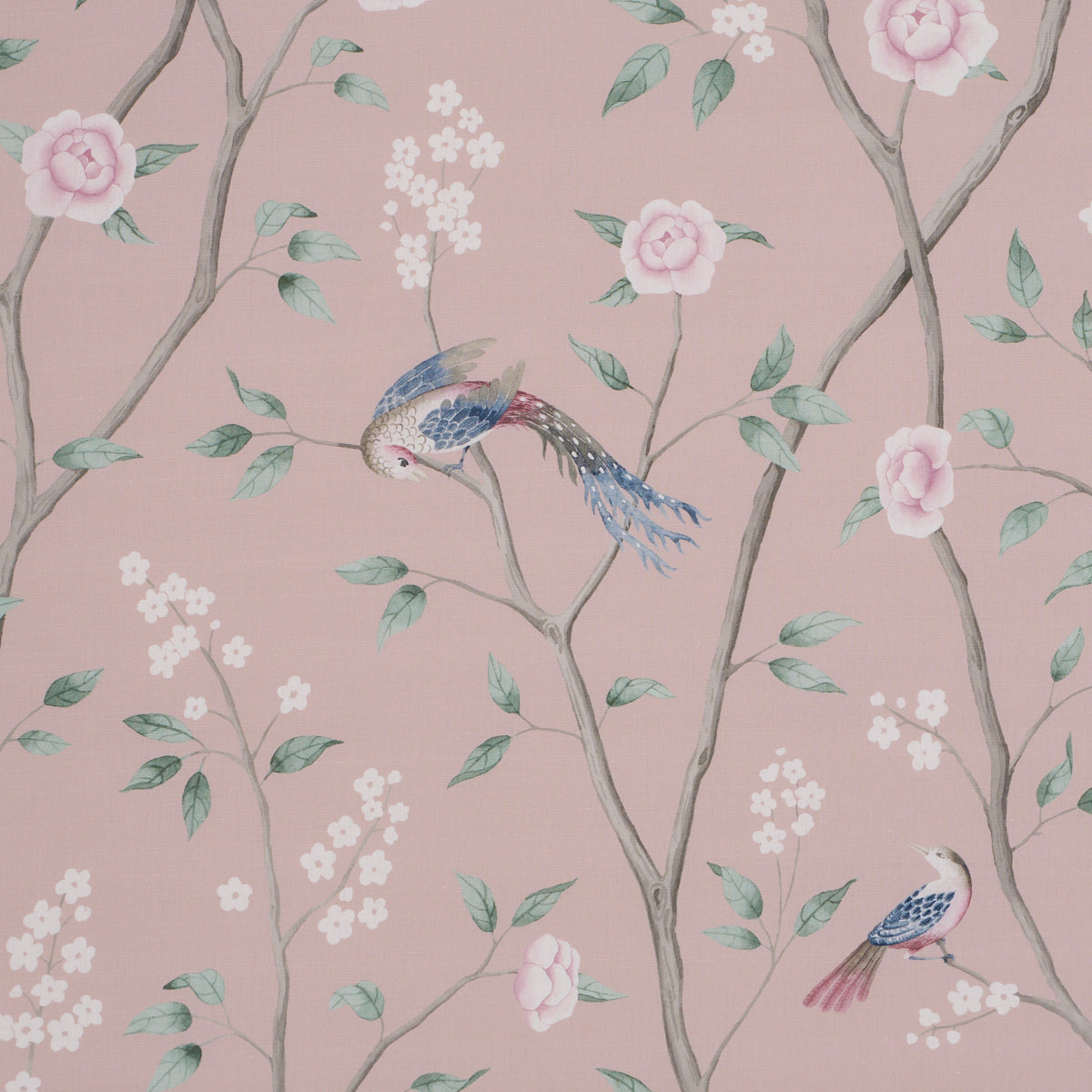Paradise Birds fabric in blush color - pattern number 183031 - by Schumacher in the Borastapeter collection