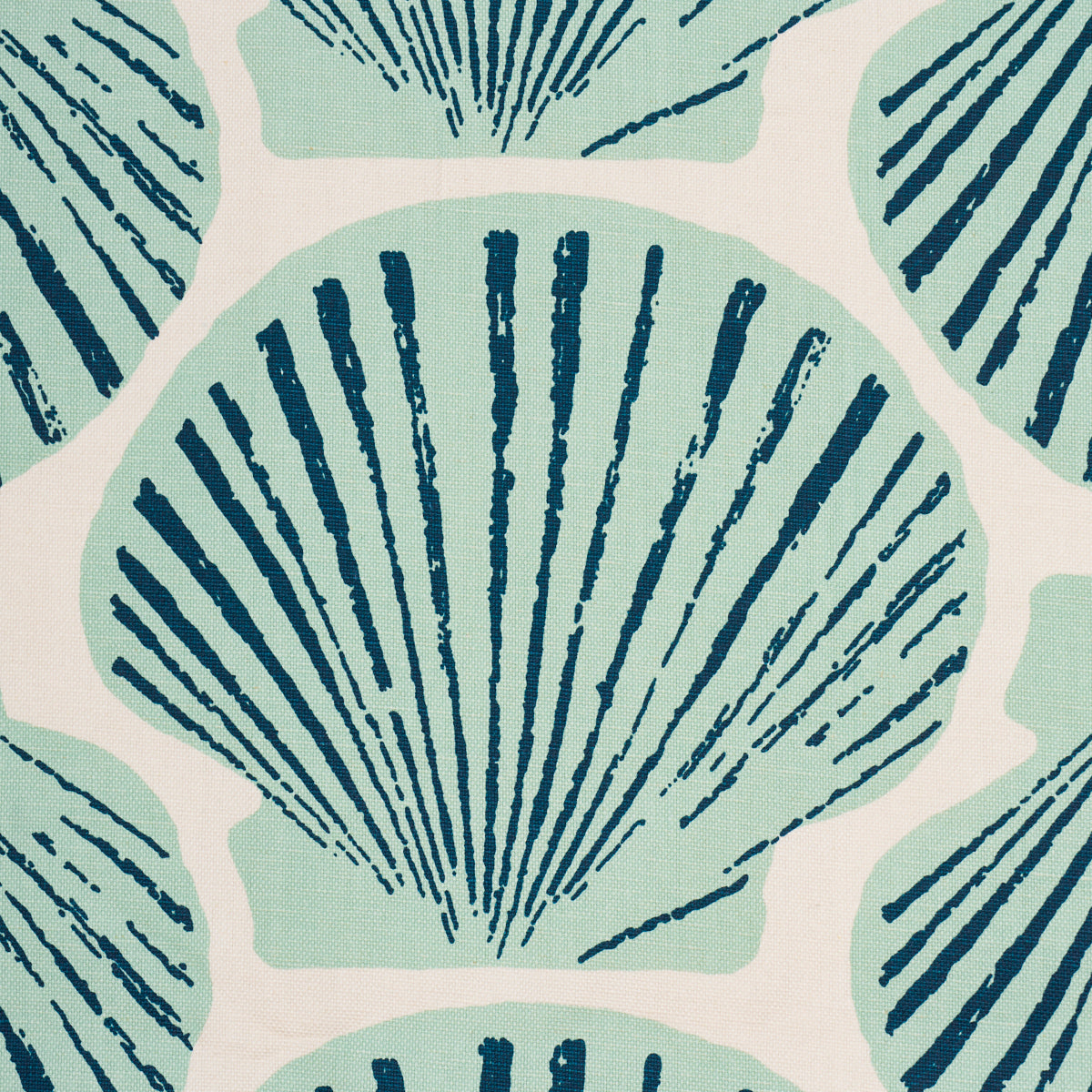 Scallop Shell fabric in Aqua color - pattern number 183770 - by Schumacher in the Tillett collection