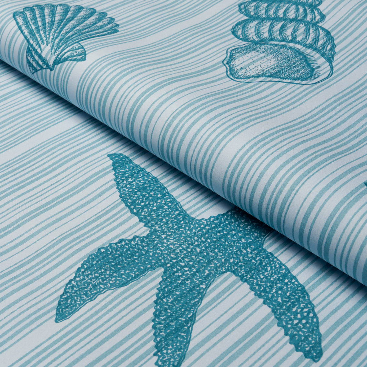 Seashells fabric in Ocean color - pattern number 183800 - by Schumacher in the Tillett collection