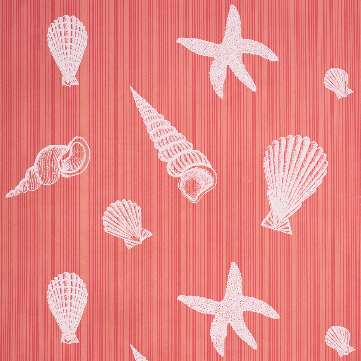 Seashells fabric in Coral color - pattern number 183802 - by Schumacher in the Tillett collection