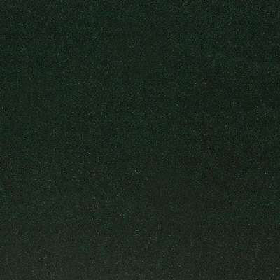 Marlow Mohair fabric in bottle color - pattern 2001199.3.0 - by Lee Jofa