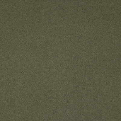 Flannelsuede fabric in marsh color - pattern 2006229.52.0 - by Lee Jofa in the Eric Cohler Design collection