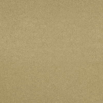 Flannelsuede fabric in sand dune color - pattern 2006229.816.0 - by Lee Jofa in the Eric Cohler Design collection