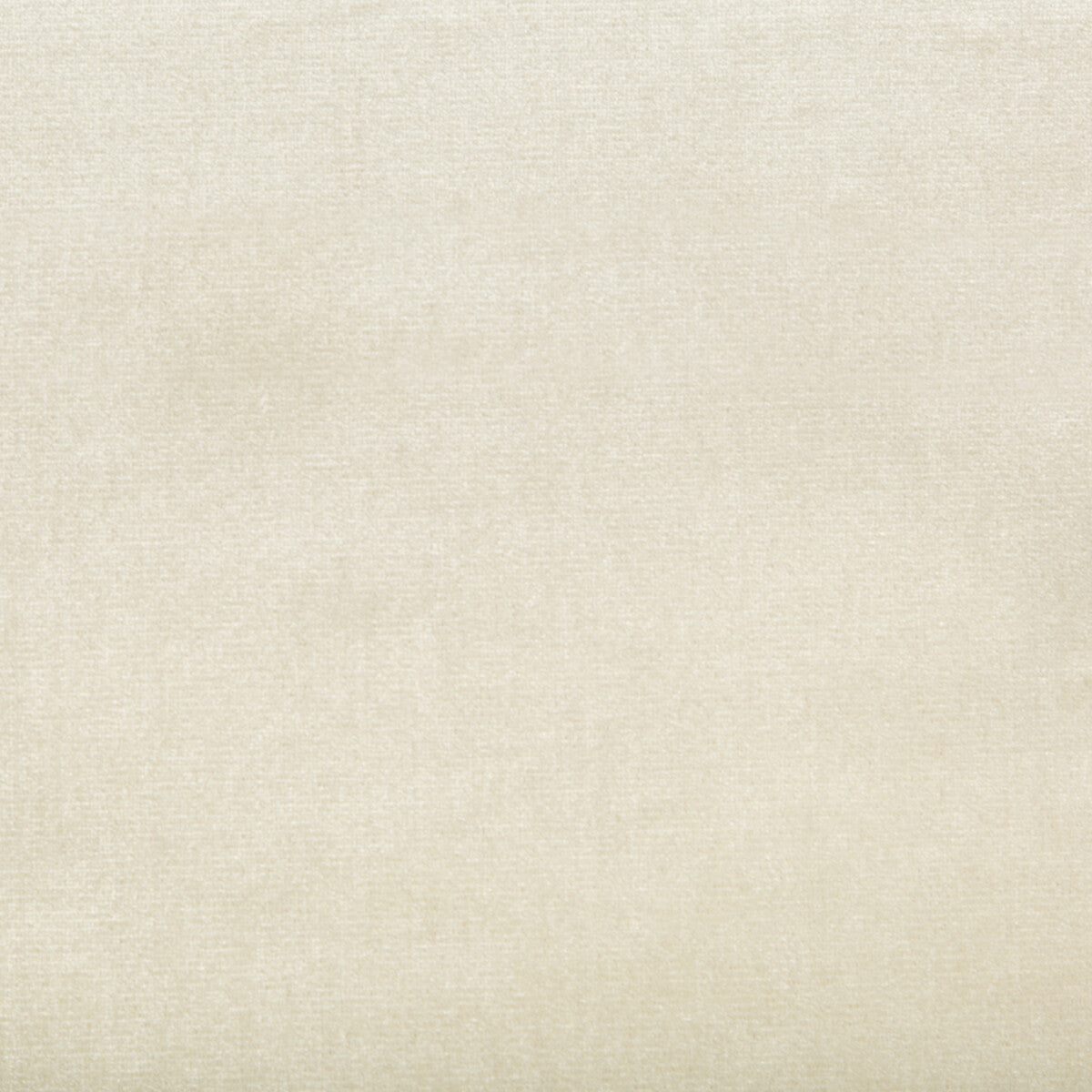Duchess Velvet fabric in ivory color - pattern 2016121.1.0 - by Lee Jofa