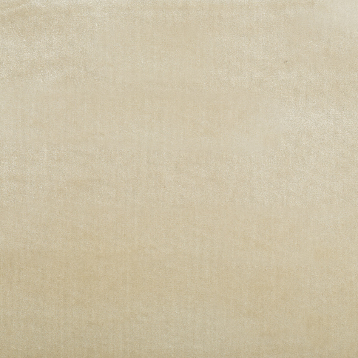 Duchess Velvet fabric in pearl color - pattern 2016121.101.0 - by Lee Jofa