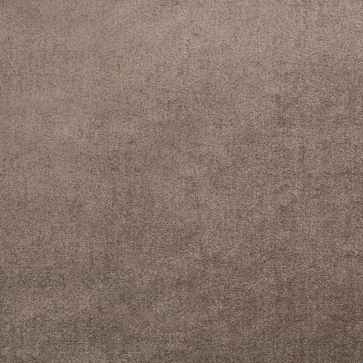 Duchess Velvet fabric in dusty mauve color - pattern 2016121.106.0 - by Lee Jofa