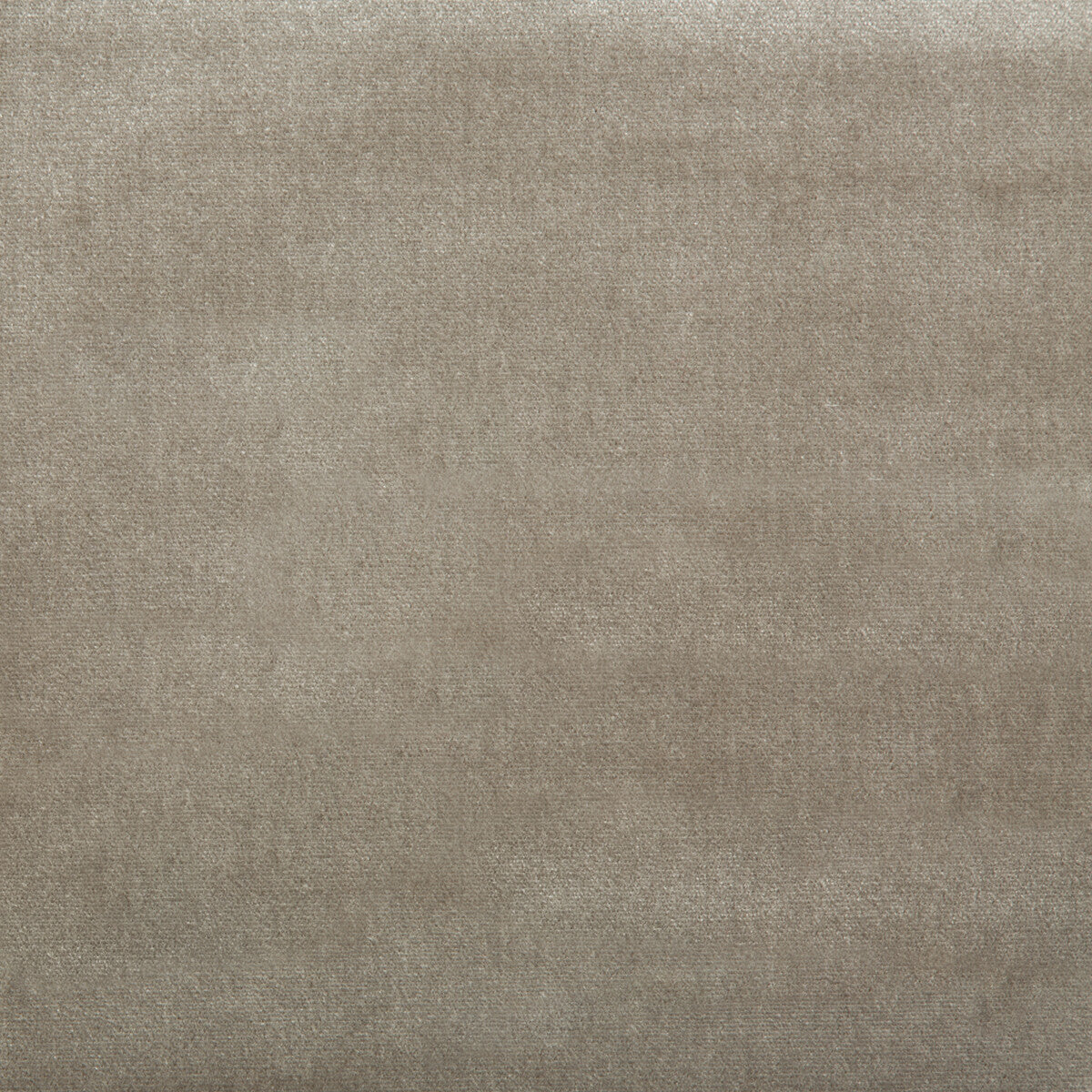 Duchess Velvet fabric in granite color - pattern 2016121.1110.0 - by Lee Jofa