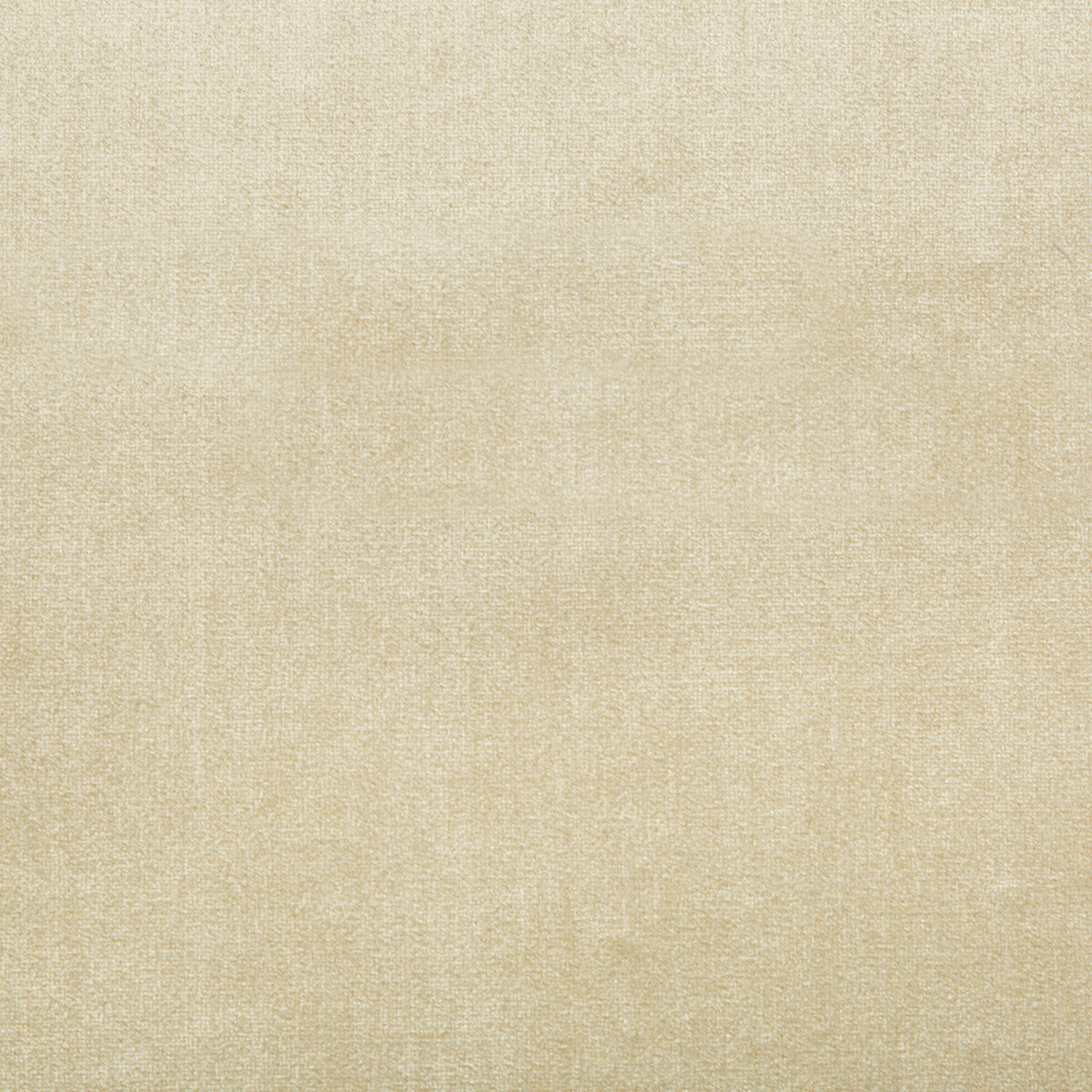 Duchess Velvet fabric in beige color - pattern 2016121.116.0 - by Lee Jofa