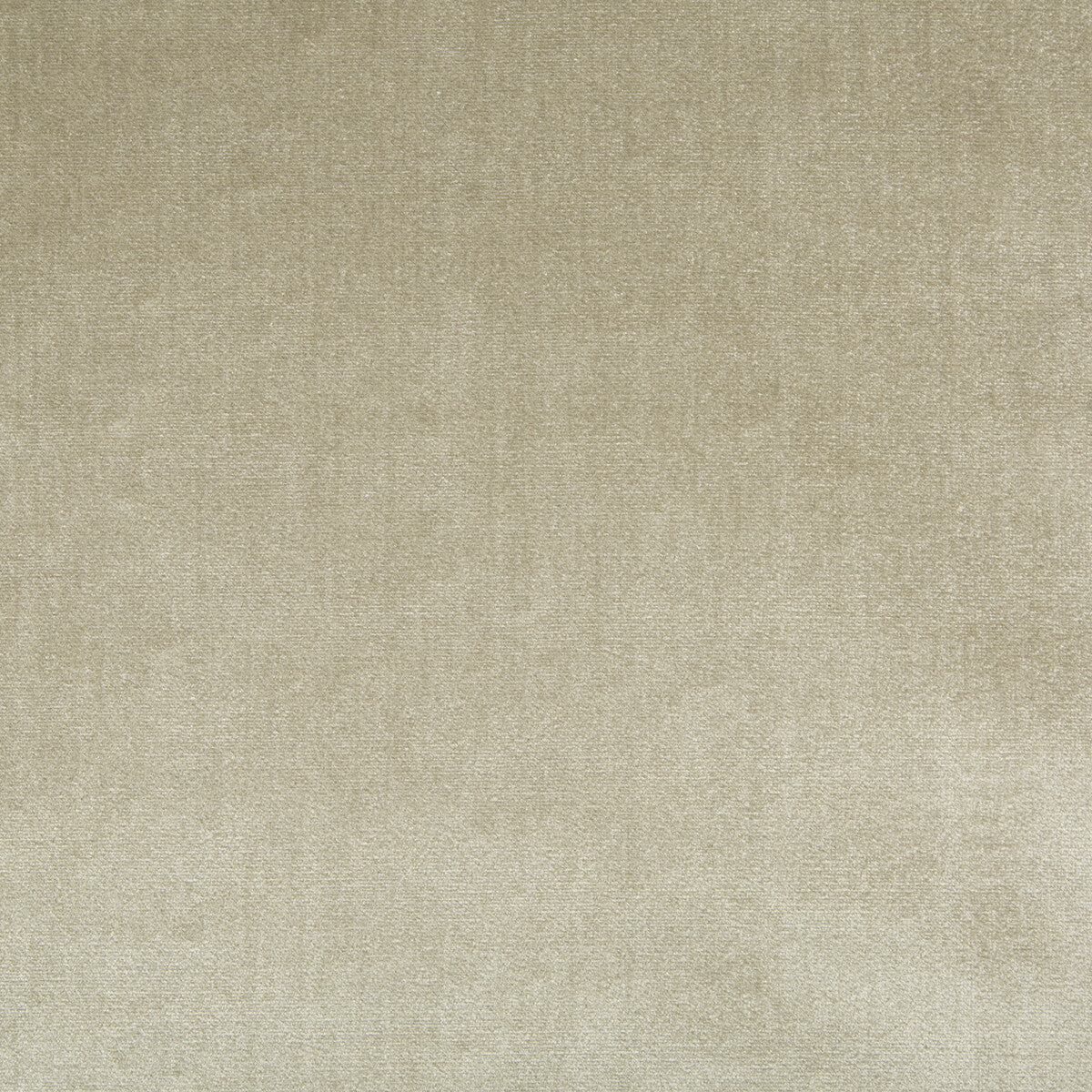 Duchess Velvet fabric in oyster color - pattern 2016121.163.0 - by Lee Jofa