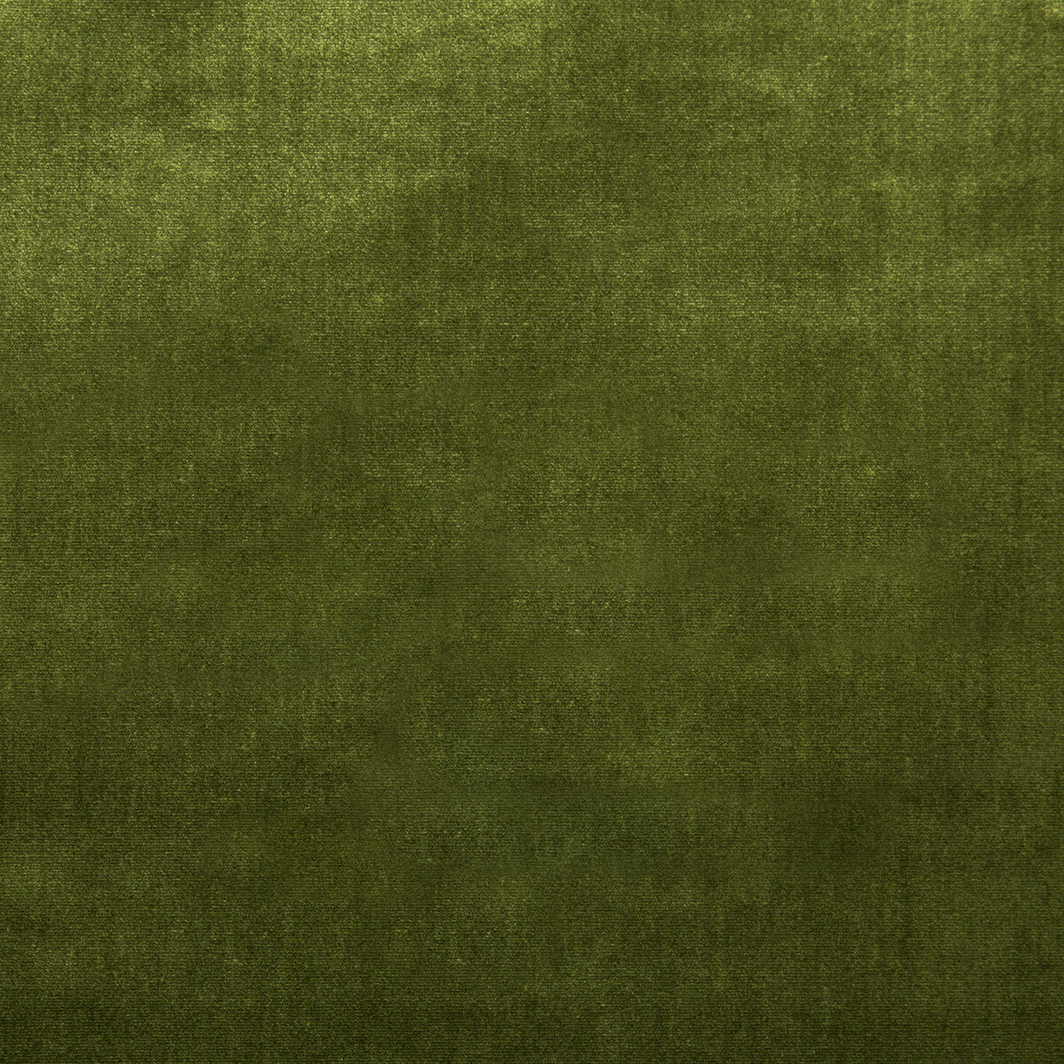 Duchess Velvet fabric in olive color - pattern 2016121.323.0 - by Lee Jofa