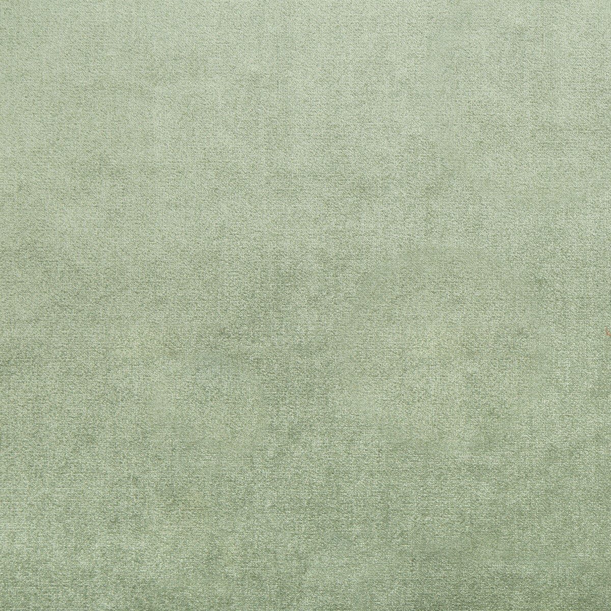 Duchess Velvet fabric in juniper color - pattern 2016121.353.0 - by Lee Jofa