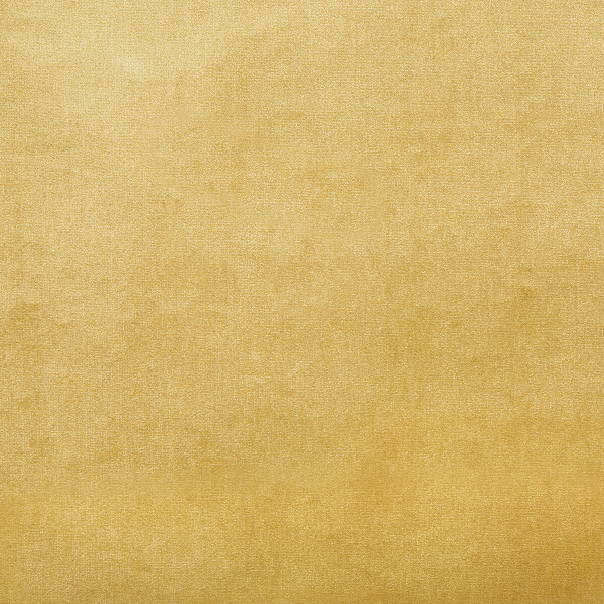Duchess Velvet fabric in straw color - pattern 2016121.4.0 - by Lee Jofa