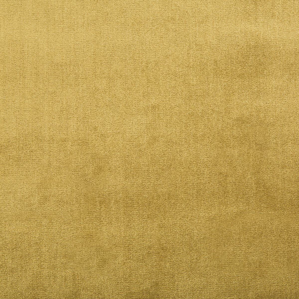 Duchess Velvet fabric in oro color - pattern 2016121.40.0 - by Lee Jofa
