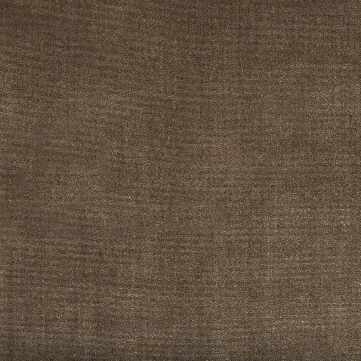 Duchess Velvet fabric in mink color - pattern 2016121.6.0 - by Lee Jofa