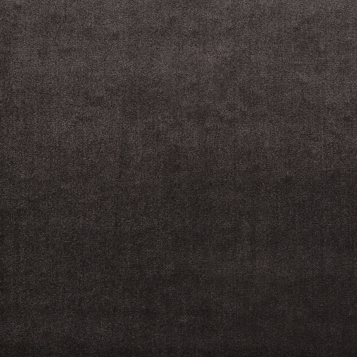 Duchess Velvet fabric in espresso color - pattern 2016121.68.0 - by Lee Jofa