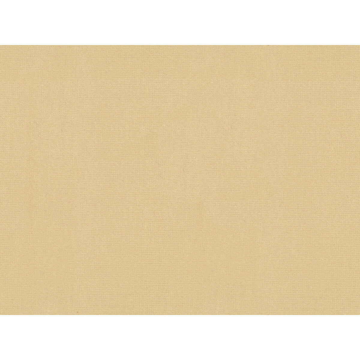 Oxford Velvet fabric in cream color - pattern 2016122.1116.0 - by Lee Jofa