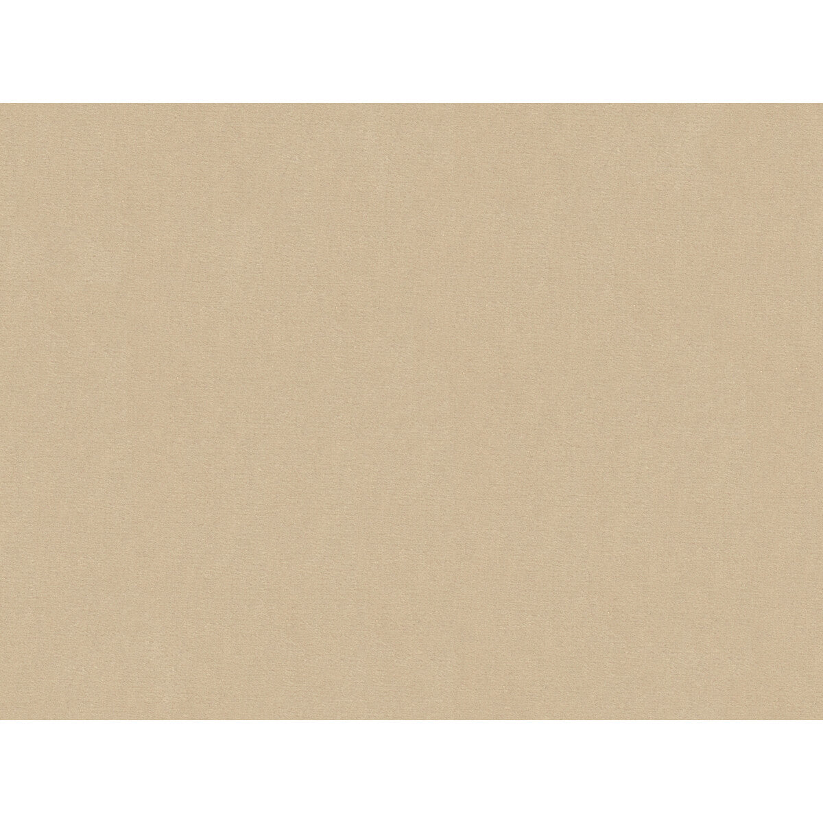 Oxford Velvet fabric in sand color - pattern 2016122.16.0 - by Lee Jofa