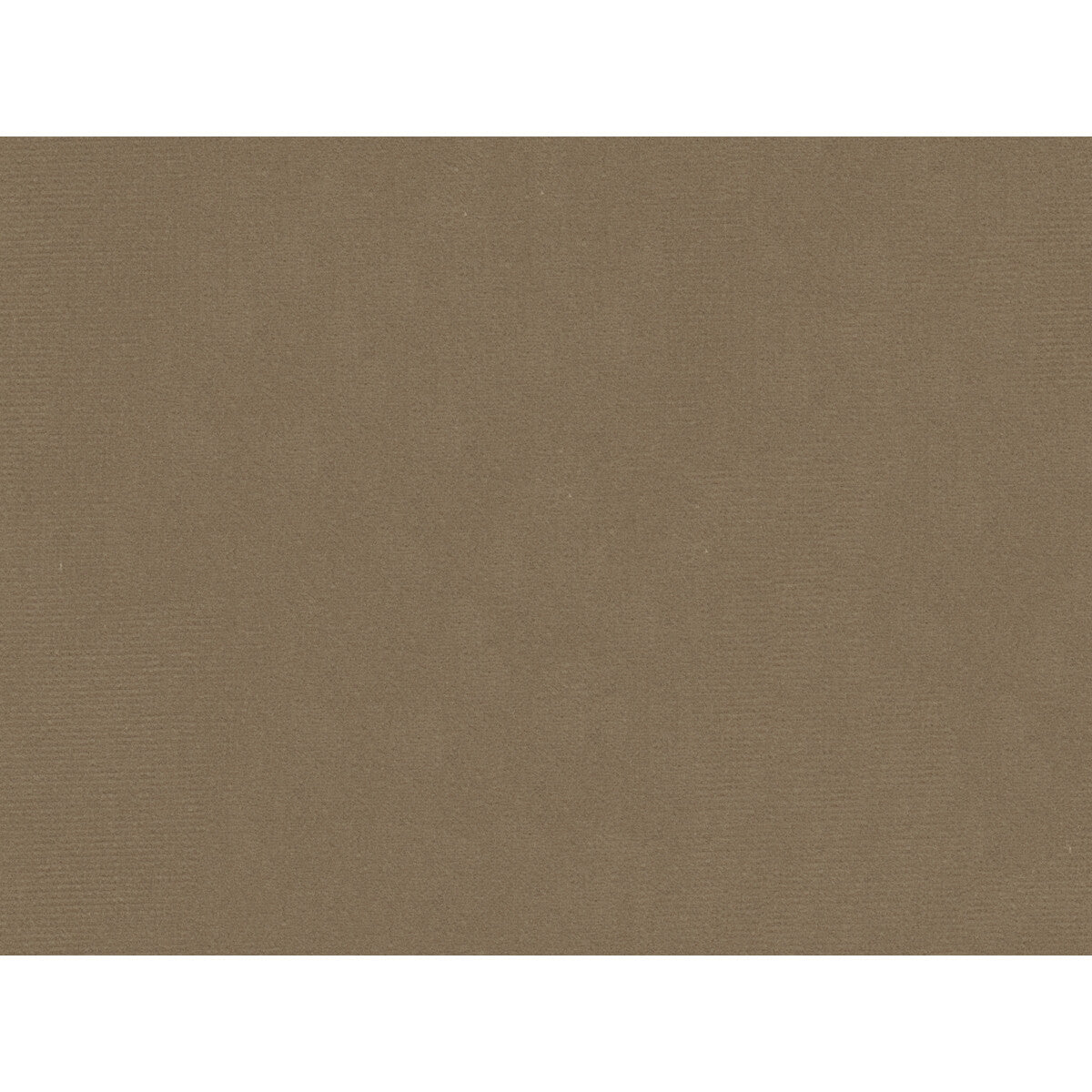 Oxford Velvet fabric in taupe color - pattern 2016122.1611.0 - by Lee Jofa