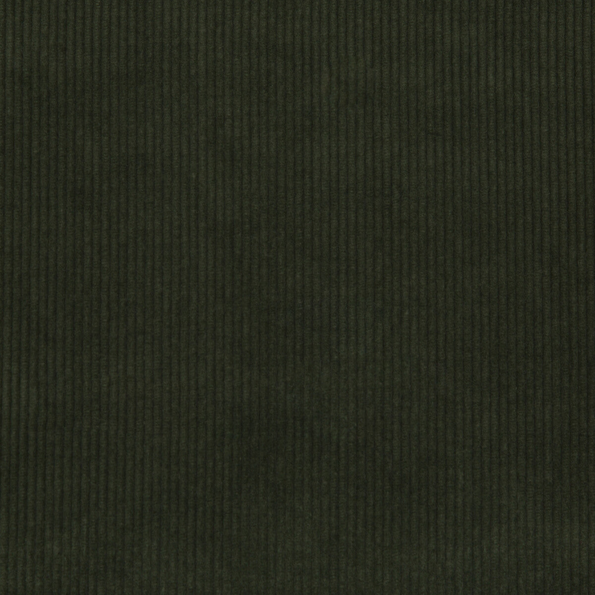 Saranac Cord fabric in loden color - pattern 2017121.30.0 - by Lee Jofa