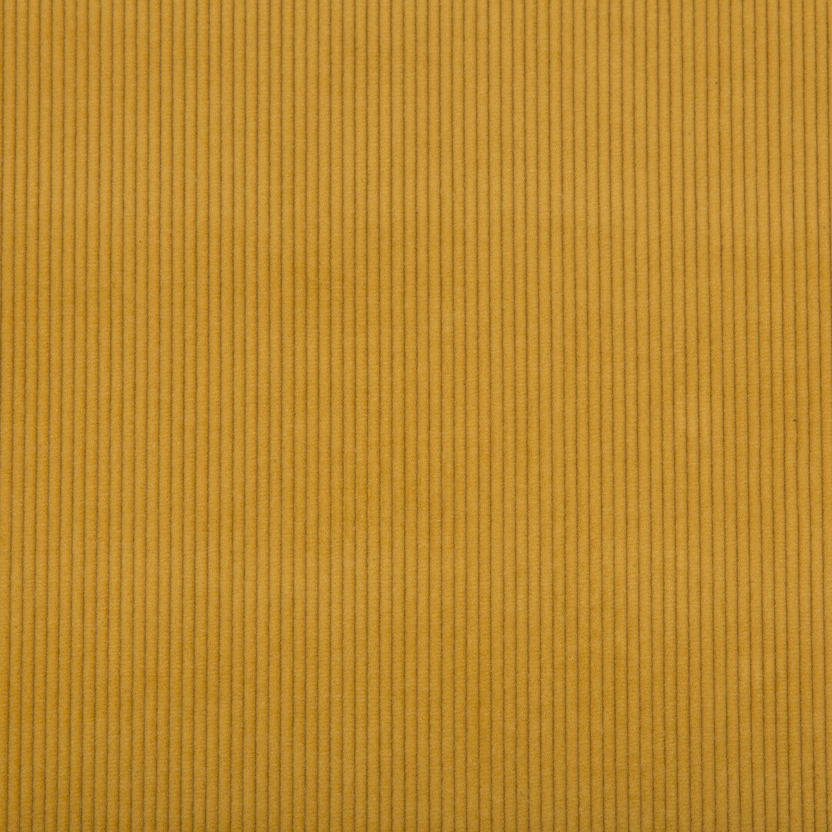 Saranac Cord fabric in gold color - pattern 2017121.40.0 - by Lee Jofa