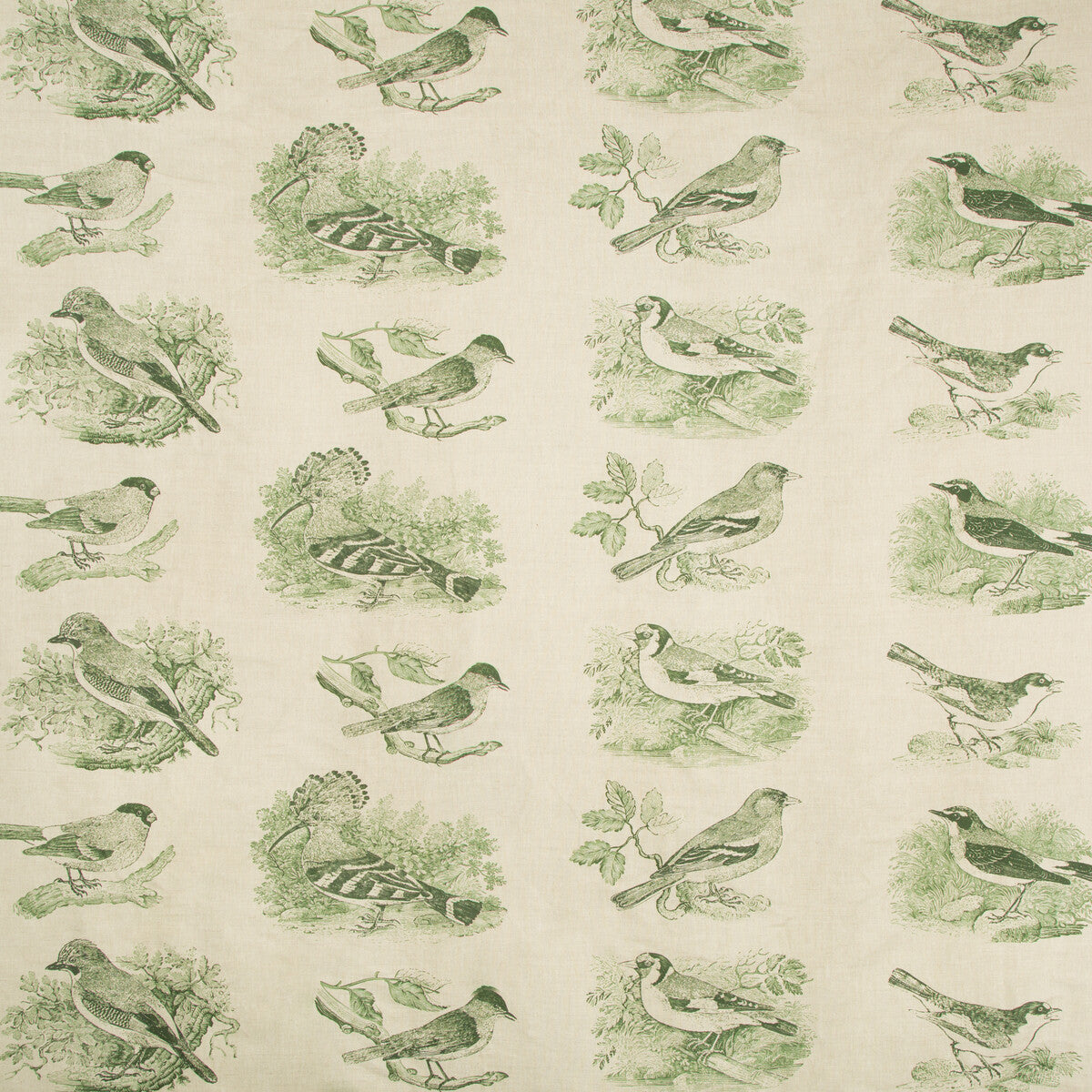 Sumter Toile fabric in hunter color - pattern 2017134.3.0 - by Lee Jofa in the Lodge II Prints collection