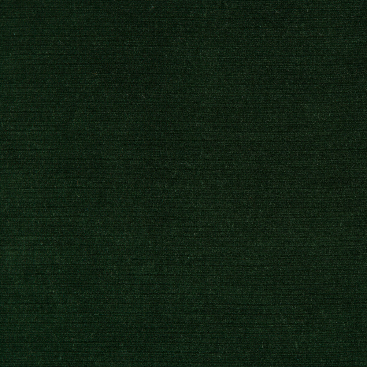 Gemma Velvet fabric in emerald color - pattern 2018148.53.0 - by Lee Jofa in the Gemma Performance Velvet collection