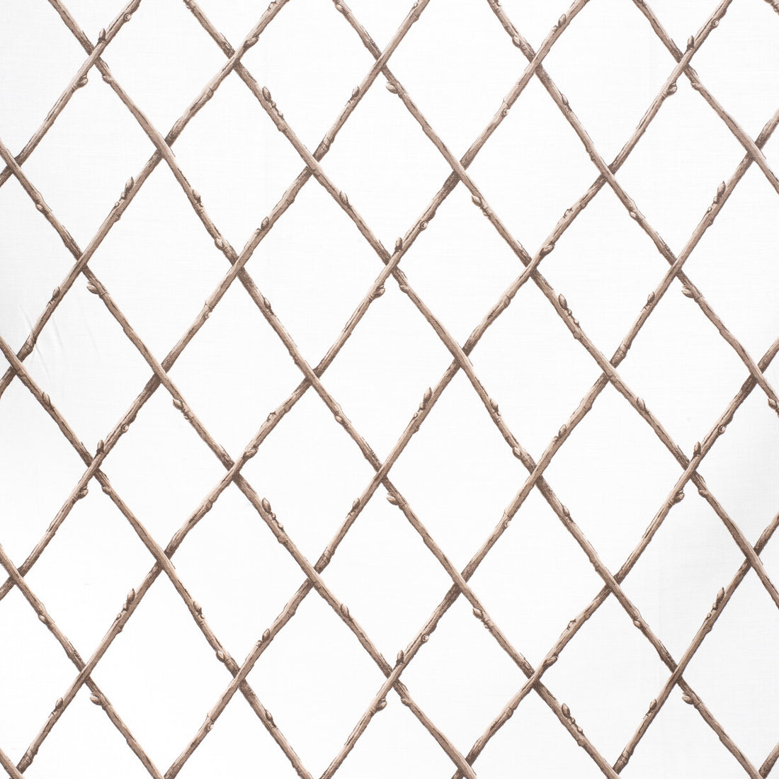 Bare Twig Trellis fabric in bro/whi color - pattern 2020116.1116.0 - by Lee Jofa in the Paolo Moschino Fabrics collection