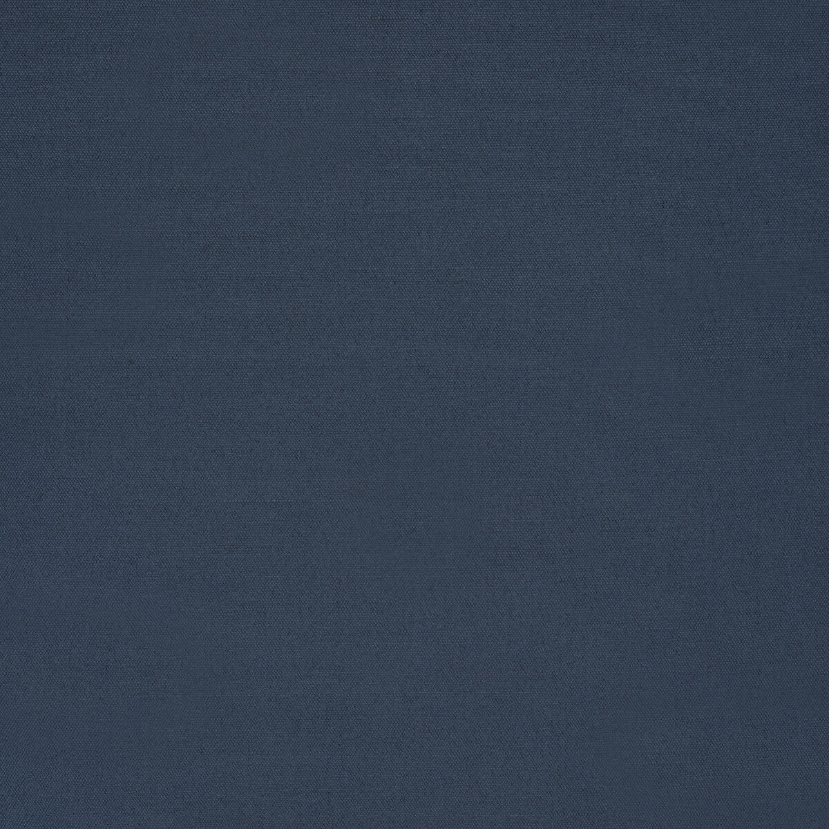 Gistel fabric in navy color - pattern 2020134.50.0 - by Lee Jofa in the Paolo Moschino Fabrics collection