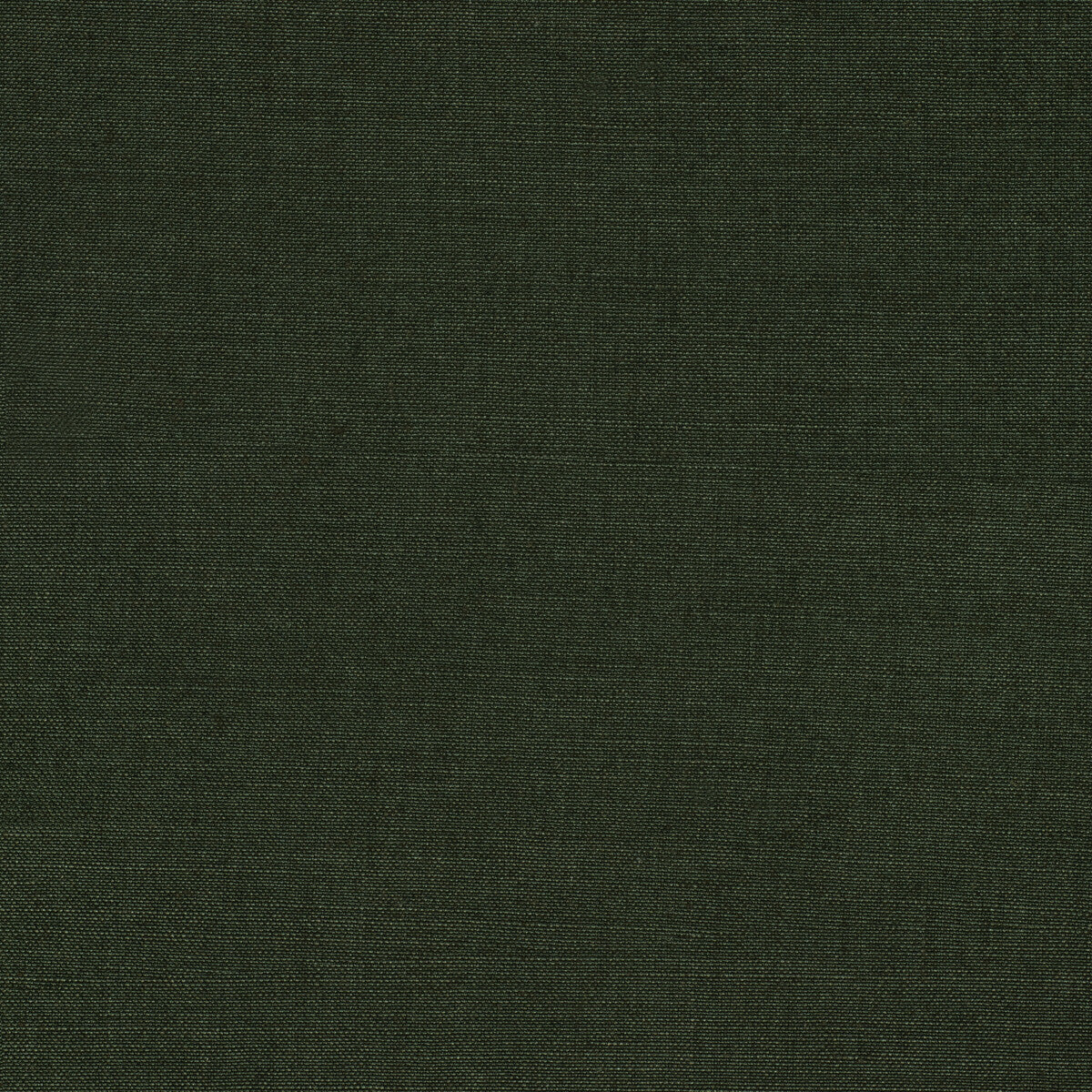 Namur fabric in dark green color - pattern 2020149.323.0 - by Lee Jofa in the Paolo Moschino Fabrics collection